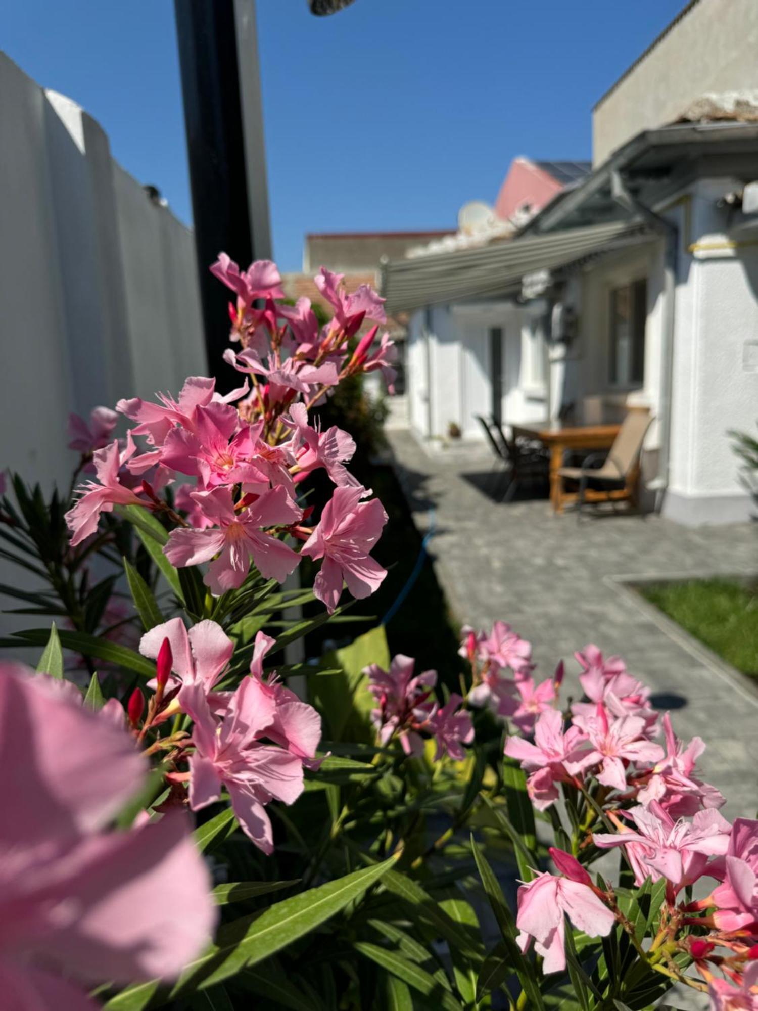 Nord 22 Villa Constanta Exterior photo
